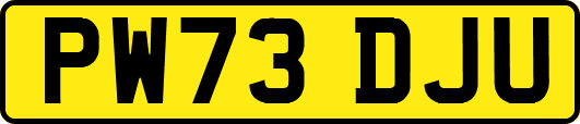 PW73DJU