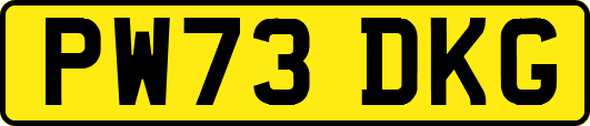 PW73DKG