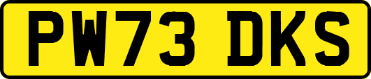 PW73DKS