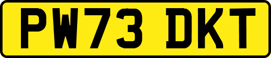 PW73DKT