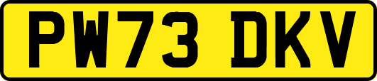 PW73DKV