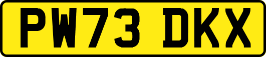 PW73DKX