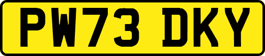 PW73DKY