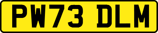 PW73DLM