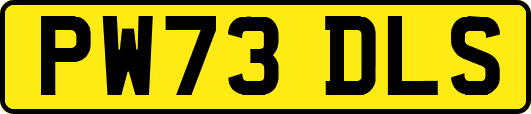 PW73DLS