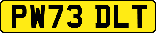 PW73DLT