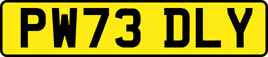 PW73DLY