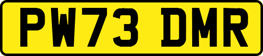 PW73DMR