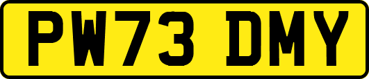 PW73DMY