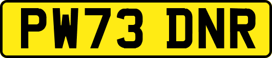 PW73DNR