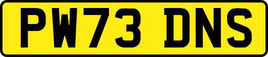 PW73DNS
