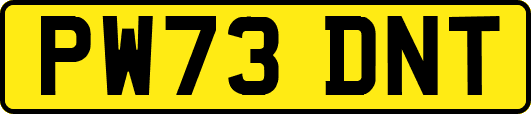 PW73DNT