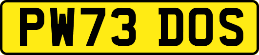 PW73DOS