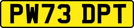 PW73DPT