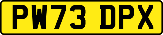 PW73DPX
