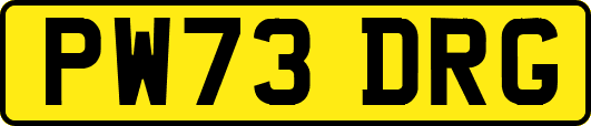 PW73DRG
