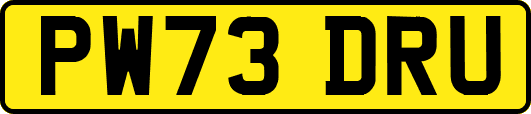 PW73DRU