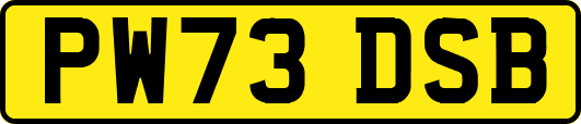 PW73DSB