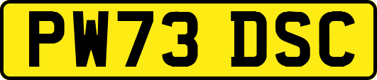 PW73DSC