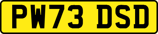 PW73DSD