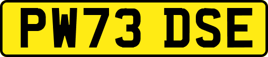PW73DSE