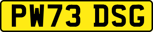 PW73DSG