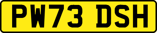 PW73DSH