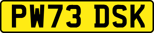 PW73DSK