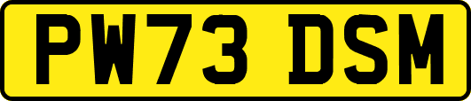PW73DSM