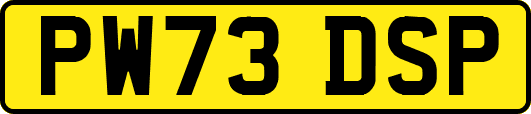 PW73DSP