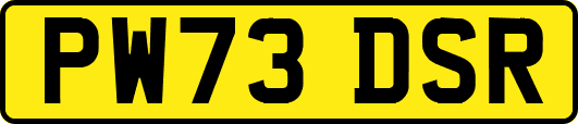 PW73DSR