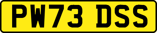 PW73DSS