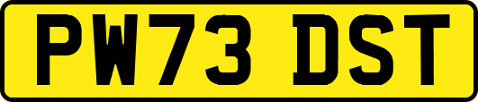 PW73DST