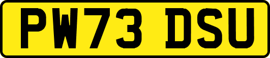 PW73DSU