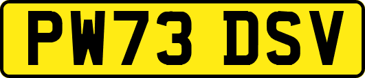 PW73DSV
