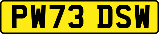 PW73DSW