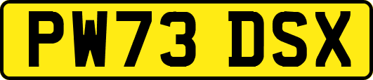PW73DSX