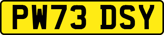 PW73DSY