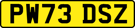 PW73DSZ