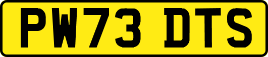 PW73DTS