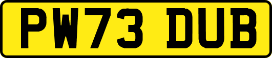PW73DUB