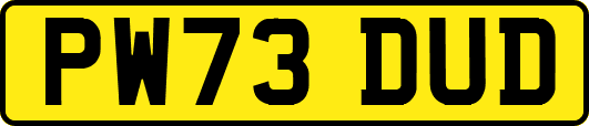 PW73DUD