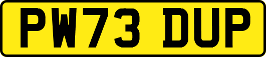 PW73DUP