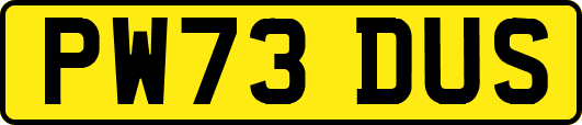 PW73DUS