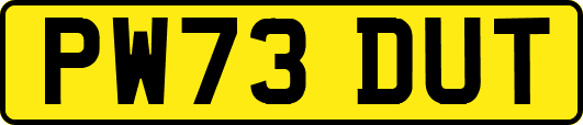 PW73DUT