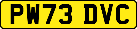 PW73DVC
