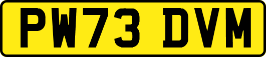 PW73DVM
