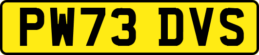 PW73DVS