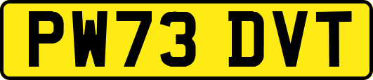 PW73DVT