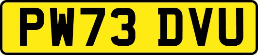 PW73DVU